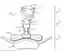 Fig. 01 - Cervical-thoracic orthotic with cervical collar