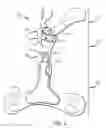 Fig. 03 - Cervical-thoracic orthotic with cervical collar