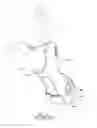 Fig. 09 - Wrist guard