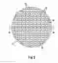 Fig. 03 - Bone implant with a surface anchoring structure