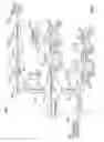 Fig. 04 - Apparatus and method for modeling well designs and well performance