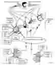 Fig. 02 - Improving speech capabilities of a multimodal application