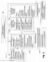 Fig. 05 - SYSTEM AND METHOD FOR ADMINISTERING SUBROGATION RELATED TRANSACTIONS