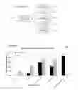 Fig. 06 - System for identifying geographically relevant advertisements from a search query