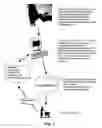 Fig. 02 - ENHANCED SHOPPING & MERCHANDISING METHODOLOGY