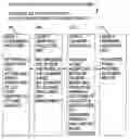 Fig. 01 - Method and system to create and distribute excess funds from consumer spending transactions