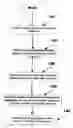 Fig. 01 - System and method for displaying trade information for electronic trading exchange