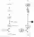 Fig. 01 - SYSTEM AND METHOD FOR OBTAINING INFORMATION ABOUT BIOLOGICAL NETWORKS USING A LOGIC BASED APPROACH