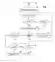 Fig. 22 - Multilingual domain name registration