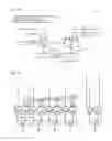 Fig. 16 - Instruction extraction through prefix accumulation