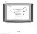 Fig. 07 - System and method of voting via an interactive television system