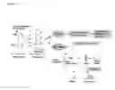 Fig. 02 - MOUSE MODELS CARRYING A KNOCK-OUT MUTATION OF THE QPCTL-GENE