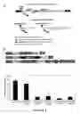 Fig. 02 - Reversible siRNA-based silencing of mutant and endogenous wild-type huntingtin gene and its application for the treatment of Huntington's disease