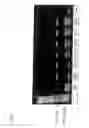 Fig. 06 - Method of producing double low restorer lines of having a good agronomic value