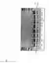 Fig. 08 - Method of producing double low restorer lines of having a good agronomic value