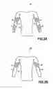 Fig. 04 - CLOTHING ITEM WITH HETEROGENEOUS CONTENTION EFFECT FOR PRACTISING A SPORT