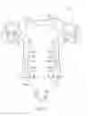 Fig. 11 - Expandable children garment with an improved adjustable feature