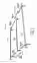 Fig. 02 - Sturdy, collapsible, telescoping bed frame