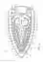 Fig. 02 - STEAM IRON