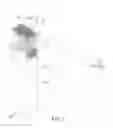 Fig. 08 - Optical fiber billboard
