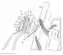 Fig. 01 - Trim strip