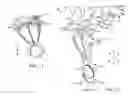 Fig. 08 - Selective harvester