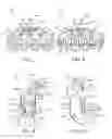 Fig. 06 - Detachable quiver assembly for archery bows