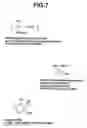 Fig. 06 - Method of removing resist and apparatus therefor