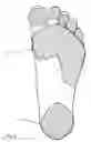 Fig. 04 - Adhesive footwear