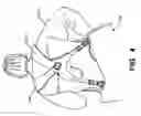 Fig. 08 - Golf bag or other shoulder-borne device having double strap to single strap convertibility