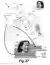 Fig. 59 - Systems and methods for generating, reading and transferring identifiers