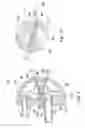 Fig. 09 - Decontamination