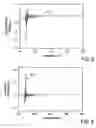 Fig. 07 - Method and apparatus for accurate calibration of VUV reflectometer