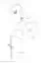 Fig. 07 - Universal Valve System