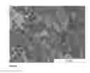 Fig. 06 - MONODISPERSE SUBMICRON POLYMER PARTICLES