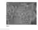Fig. 07 - MONODISPERSE SUBMICRON POLYMER PARTICLES