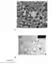 Fig. 16 - MONODISPERSE SUBMICRON POLYMER PARTICLES