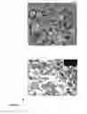 Fig. 22 - MONODISPERSE SUBMICRON POLYMER PARTICLES