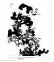 Fig. 01 - PYROGENIC OXIDES DOPED WITH POTASSIUM