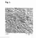 Fig. 04 - PROCESS FOR THE PREPARATION OF POROUS CRYSTALLINE LITHIUM-, VANADIUM AND PHOSPHATE-COMPRISING MATERIALS