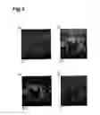 Fig. 06 - Methods of manufacturing active material and electrode, active material, and electrode