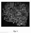 Fig. 04 - PREPARATION OF NUCLEAR FUEL COMPOSITION AND RECYCLING