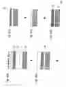 Fig. 02 - Method for producing a bonded substrate