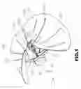 Fig. 02 - Seat having a saddle shape to fit a user ergonomically