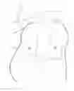 Fig. 01 - PORTABLE CENTERING HEAD CUSHION