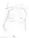 Fig. 02 - PORTABLE CENTERING HEAD CUSHION