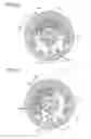 Fig. 23 - Three-stable oscillating electromagnetic actuator