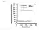 Fig. 04 - Electron emitting source and manufacturing method of electron emitting source