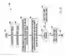 Fig. 20 - Lighting device