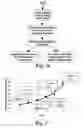 Fig. 22 - Detection of rotor side anomaly in an induction machine